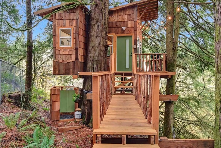 Tree house with cedar shingles