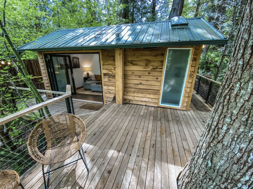 Tree house with green roof