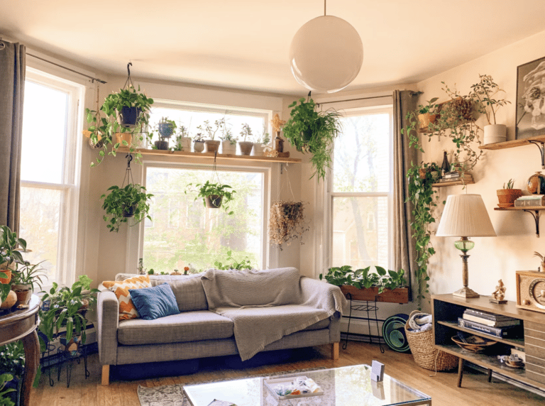 Why houseplants Improve Your Airbnb (and are a must-have)